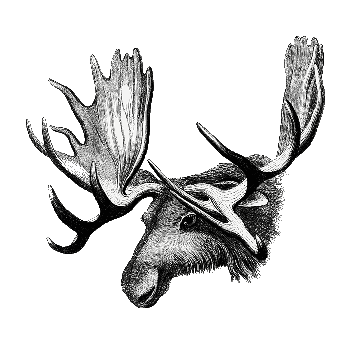 Don't forget to set alternative text.