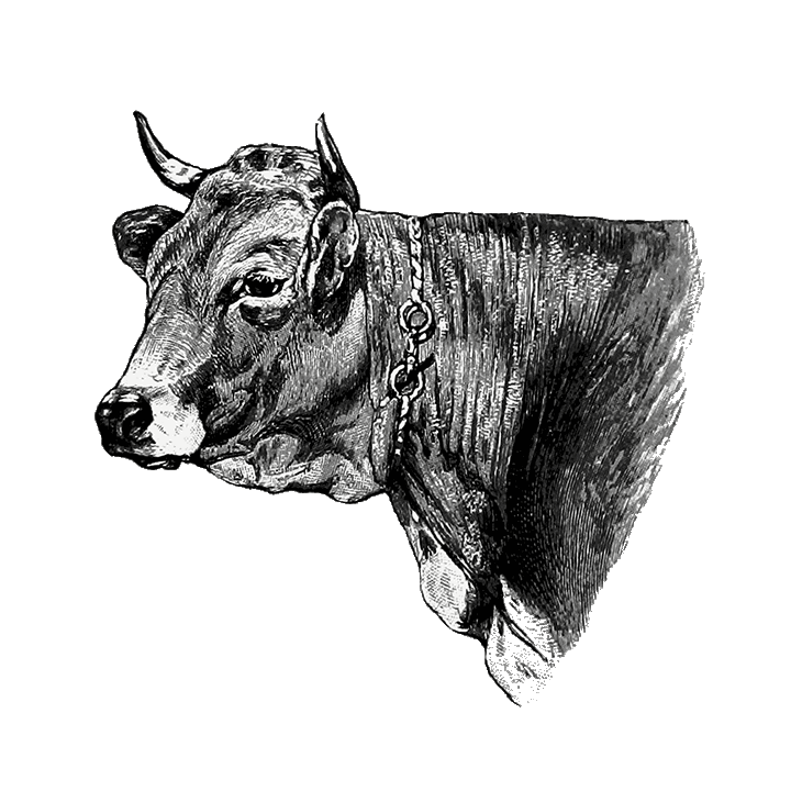 Don't forget to set alternative text.